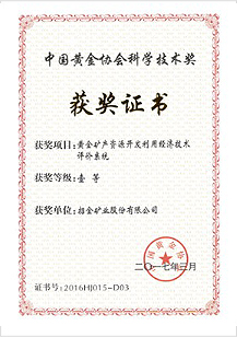 黃金礦產資源開發利用經濟技術評價系統